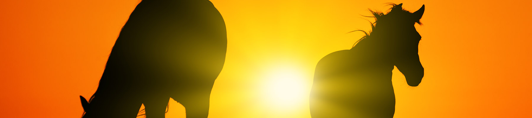 Maryland Stadium Authority Training Center at Shamrock Farm